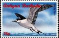 Colnect-4121-395-Sooty-tern.jpg