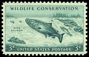 Wildlife_salmon_1956_U.S._stamp.1.jpg