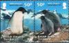 Colnect-2887-964-Penguins.jpg