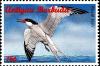 Colnect-4121-396-Royal-tern.jpg