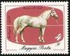 Colnect-587-392-Ramses-3-1960-Equus-ferus-caballus.jpg