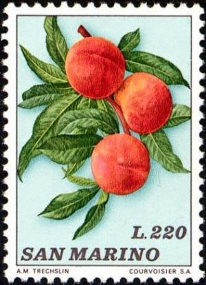 Colnect-1685-963-Peaches.jpg