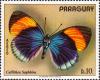 Asterope_sapphira_1973_Paraguay_stamp.jpg