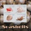 Colnect-3732-198-Seashells.jpg