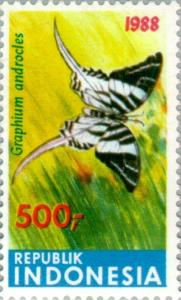 Graphium_androcles_1988_Indonesia_stamp.jpg