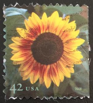Colnect-4814-399-Sunflower.jpg