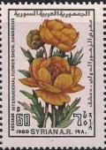 Colnect-2149-639-Yellow-roses.jpg