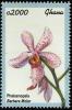 Colnect-4672-509-Phalaenopsis.jpg
