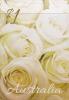 Colnect-3333-459-White-Roses.jpg