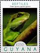 Colnect-4946-009-Green-Iguana.jpg