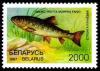 1997._Stamp_of_Belarus_0223.jpg