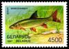 1997._Stamp_of_Belarus_0225.jpg