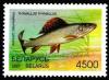1997._Stamp_of_Belarus_0226.jpg