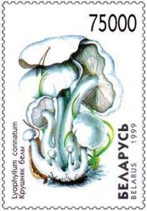 1999._Stamp_of_Belarus_0338.jpg