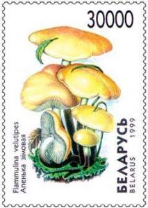 1999._Stamp_of_Belarus_0336.jpg