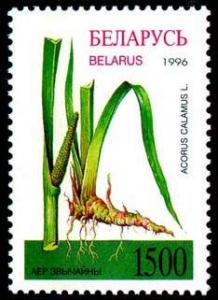 1996._Stamp_of_Belarus_0165.jpg