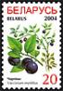 2004._Stamp_of_Belarus_0534.jpg
