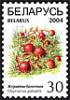 2004._Stamp_of_Belarus_0535.jpg