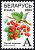 2004._Stamp_of_Belarus_0536.jpg