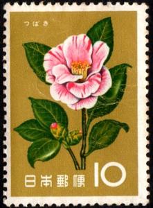 Japan_1961_Camellia.jpg