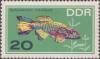 Stamp_GDR_1966_Michel_1224.JPG