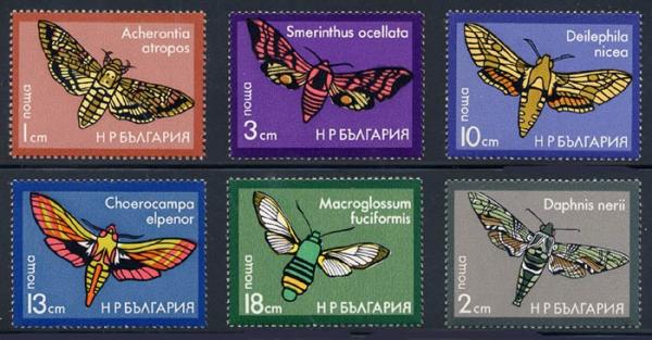 Skap-bulgaria_10_moths_2267-72.jpg