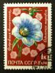 Soviet_stamps_1974_1k_Ostrowkia_magnifica.JPG