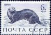 The_Soviet_Union_1971_CPA_4038_stamp_%28Sea_Otter%29_cancelled.jpg