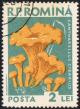 Posta_Romana_-_1958_-_mushroom_2_LEI.jpg