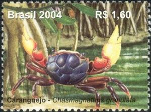 Colnect-756-239-Burrowing-Crab-Chasmagnathus-granulata.jpg