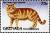 Colnect-4373-700-Red-tabby-exotic-shorthair.jpg