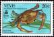 Colnect-3533-418-Blue-crab-Callinectes-sapidus.jpg