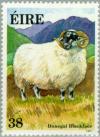 Colnect-129-069-Donegal-Blackface-Ovis-ammon-aries.jpg