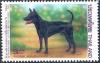 Colnect-2235-044-Thai-Ridgeback-Canis-lupus-familiaris.jpg