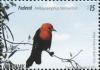 Colnect-3047-157-Scarlet-headed-Blackbird-Amblyramphus-holosericeus.jpg