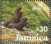 Colnect-5269-683-Jamaican-Blackbird-Nesopsar-nigerrimus.jpg