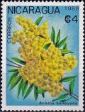 Colnect-3999-347-Acacia-baileyana.jpg