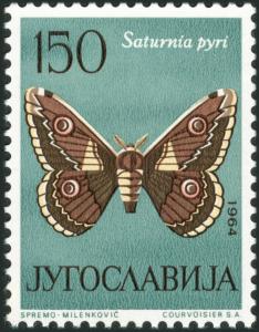 Colnect-5670-989-Giant-Peacock-Moth-Saturnia-pyry.jpg