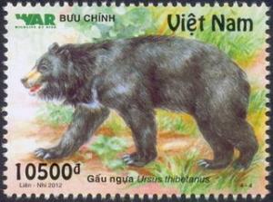 Colnect-1160-411-Asiatic-Black-Bear-Ursus-thibetanus.jpg