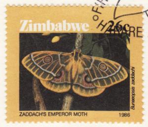 Colnect-1212-364-Zaddach--s-Emperor-Moth.jpg