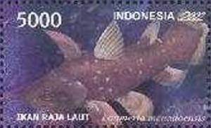 Colnect-2473-523-Sulawesi-Coelacanth-Latimeria-menadoensis.jpg
