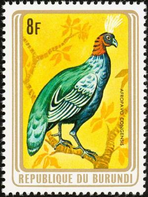 Colnect-3097-627-Congo-Peacock-Afropavo-congensis.jpg