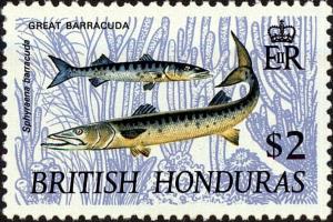 Colnect-4247-399-Great-Barracuda-Sphyraena-barracuda.jpg