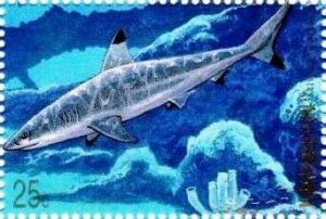 Colnect-5576-490-Blacktip-reef-shark.jpg