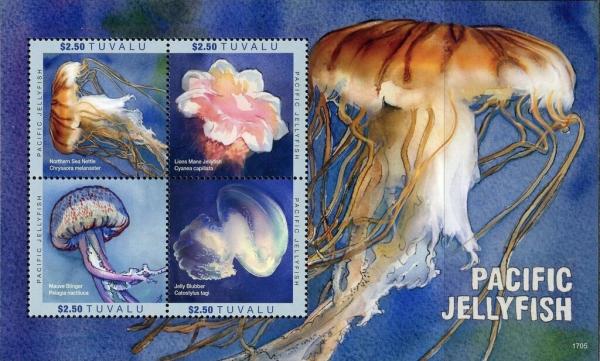 Colnect-6360-889-Pacific-Jellyfish.jpg