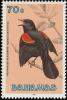 Colnect-576-829-Red-winged-Blackbird-Agelaius-phoeniceus.jpg