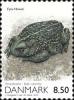 Colnect-475-524-Natterjack-Toad-Bufo-calamita.jpg