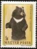Colnect-584-885-Asiatic-Black-Bear-Ursus-thibetanus.jpg