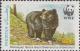 Colnect-2181-739-Asiatic-Black-Bear-Ursus-thibetanus.jpg
