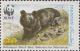 Colnect-2181-740-Asiatic-Black-Bear-Ursus-thibetanus.jpg